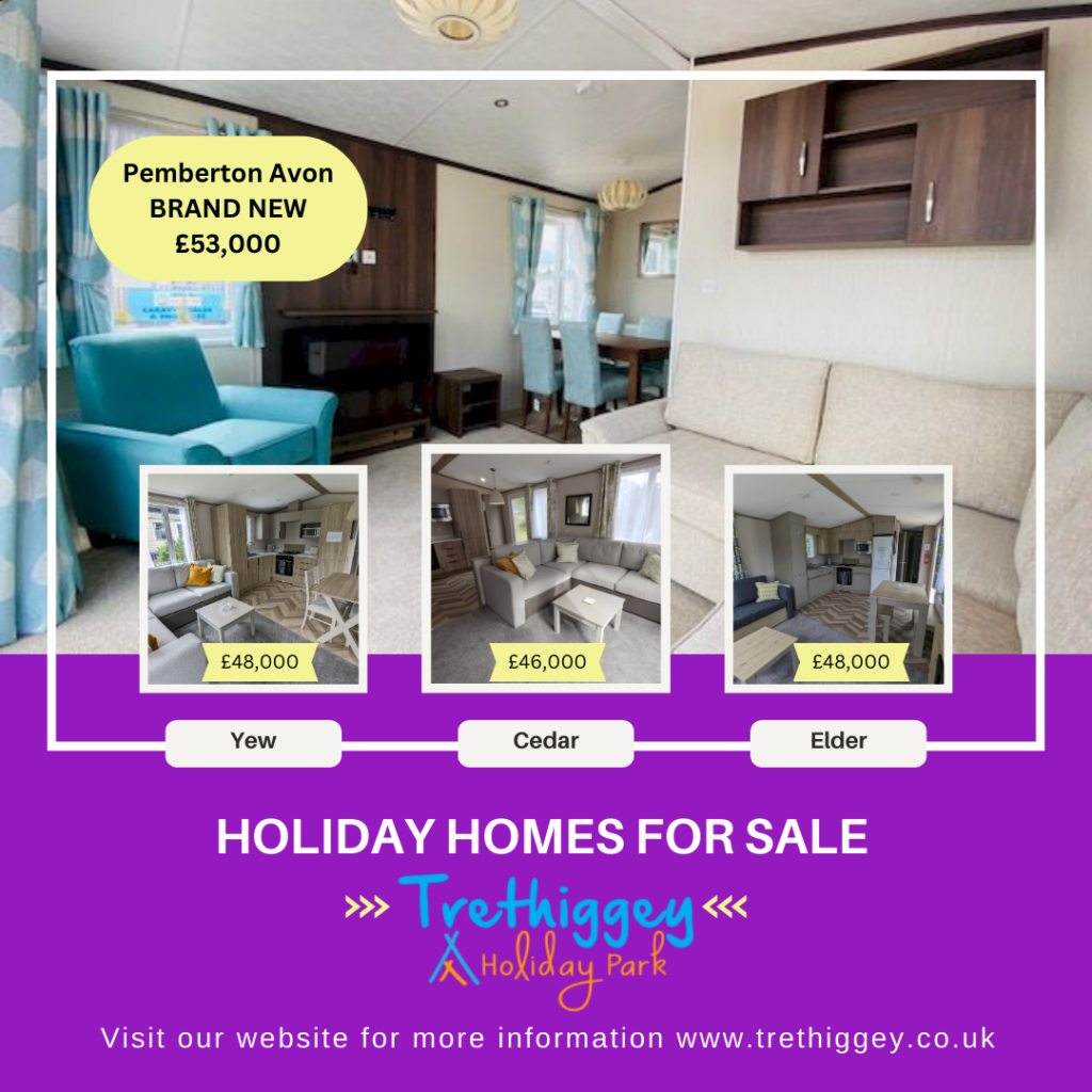 Trethiggey Holiday Park Holiday Homes For Sale Newquay