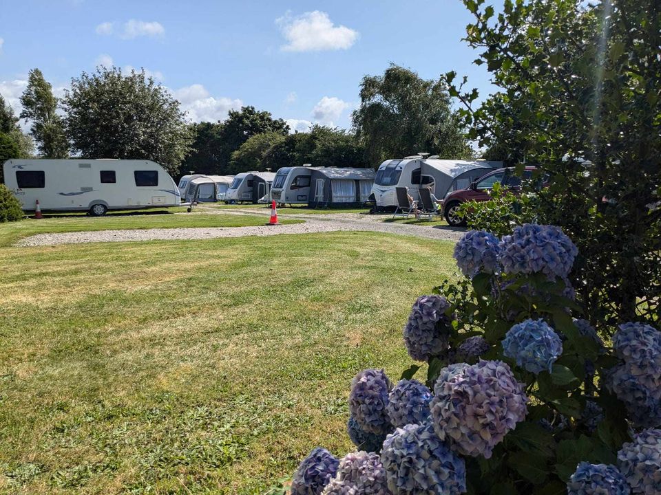 Seasonal pitches in Newquay Cornwall, Trethiggey, Campsite, touring park