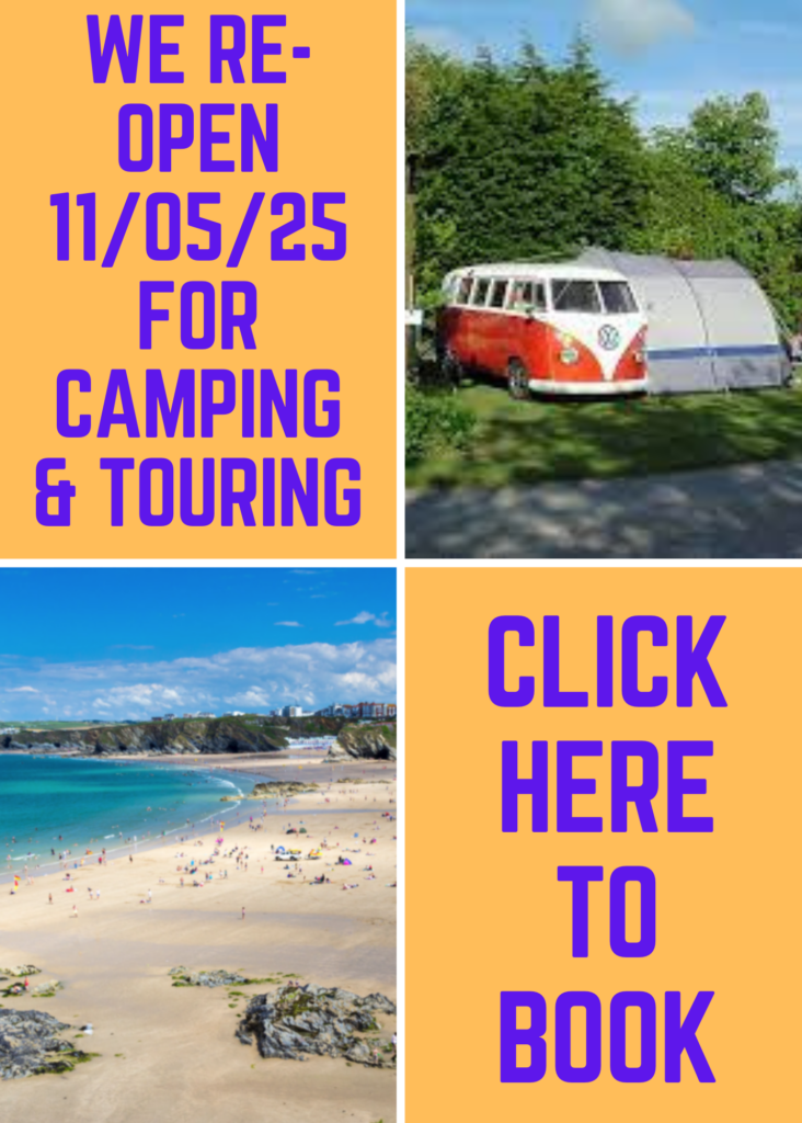 Trethiggey Holiday Park Newquay Cornwall