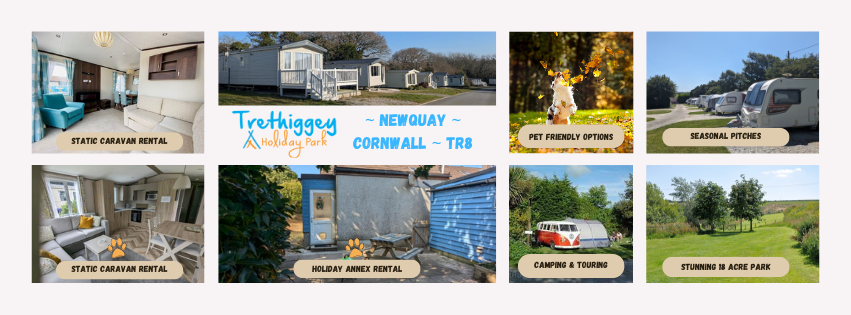 trethiggey holiday park - Newquay - Cornwall