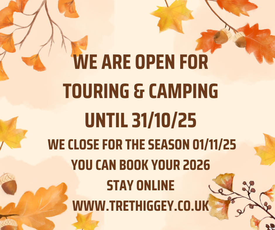 Open until 31/10/25