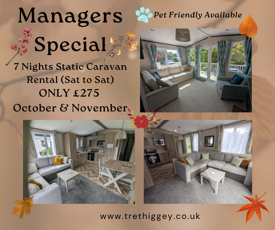 Static Caravan Rental - Trethiggey Holiday Park